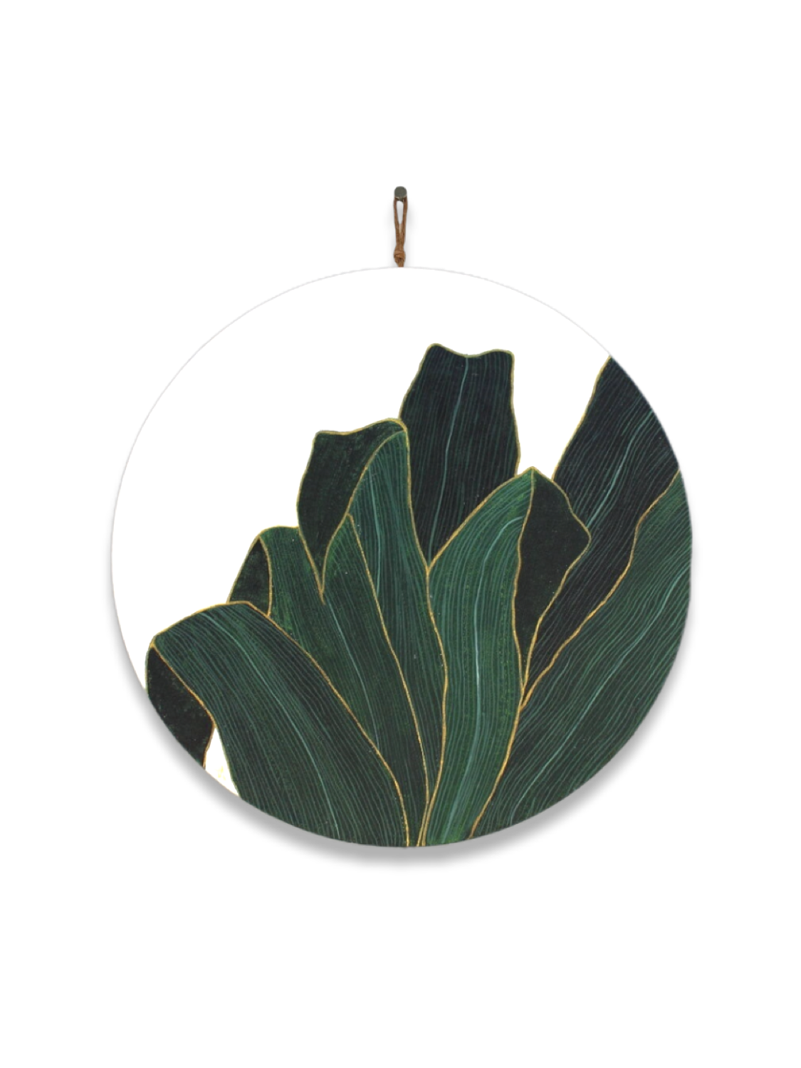 painting of Aspidistra plant on round canvas. Plant also known as cast iron plant