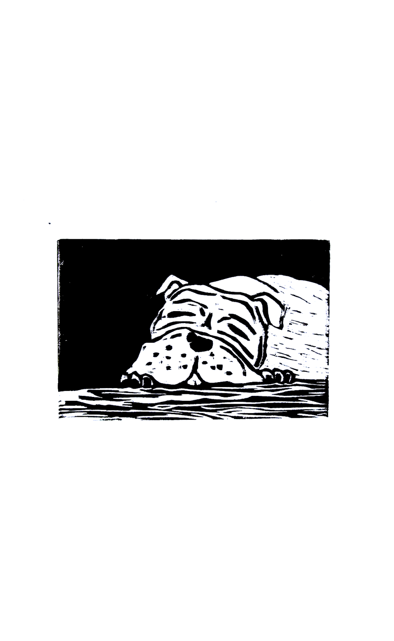 black and white wood print of bulldog sleeping on wooden floor 