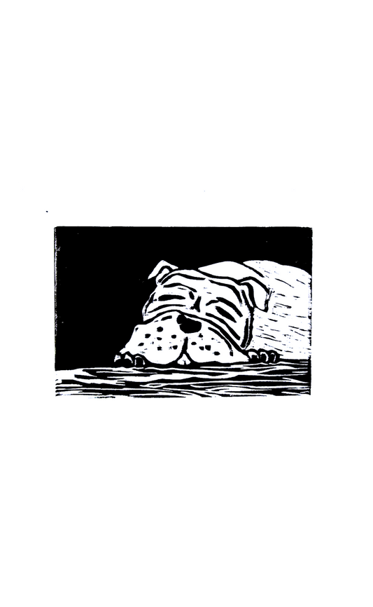 black and white wood print of bulldog sleeping on wooden floor 