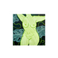 centered green woman's body surrounded by green monstera leaves on a dark green background